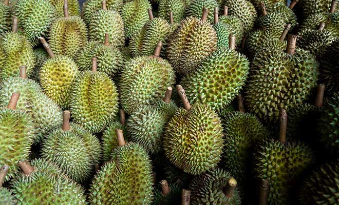 Yummy Durian in Penang