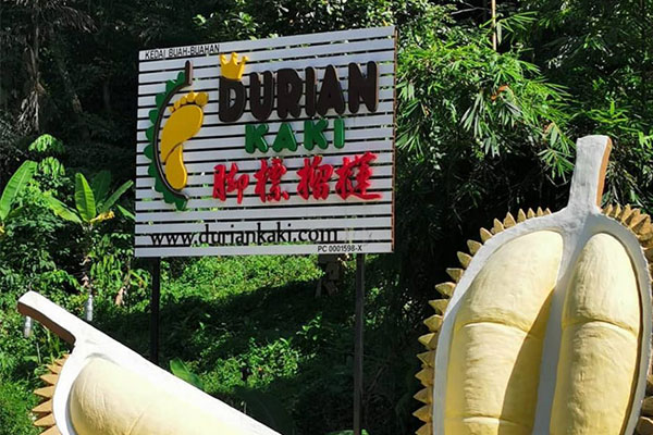 Durian Kaki (脚標榴莲)