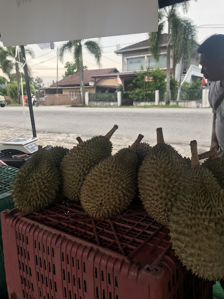 Durian MURAH Pak Jamal