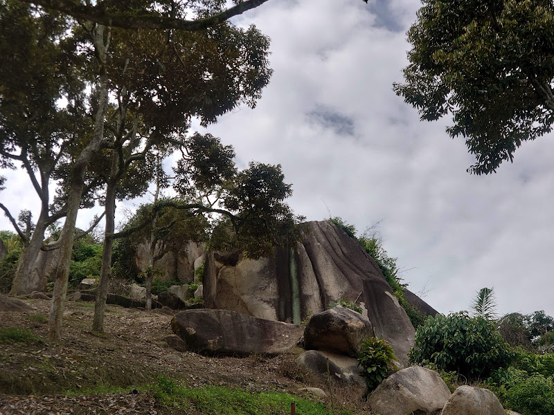 Bukit Durian