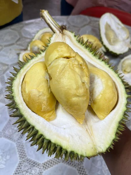 Durian Pak