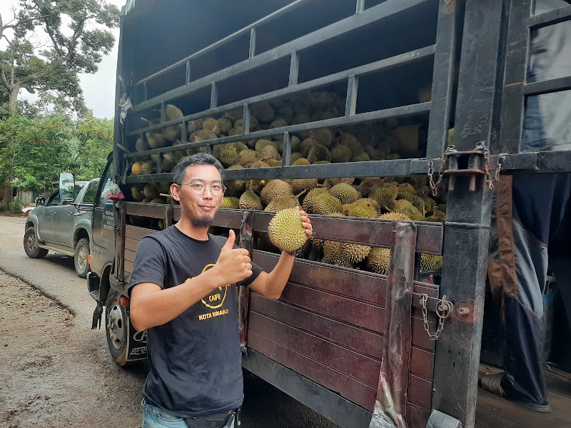 Durian tularr kota tinggi
