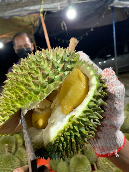 Durian convent
