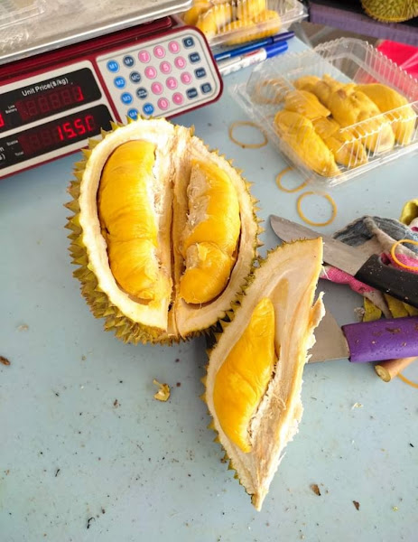 Edwin Durian
