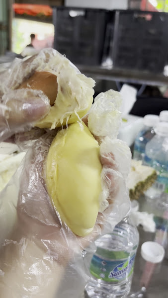 Real Kung Fu Durian
