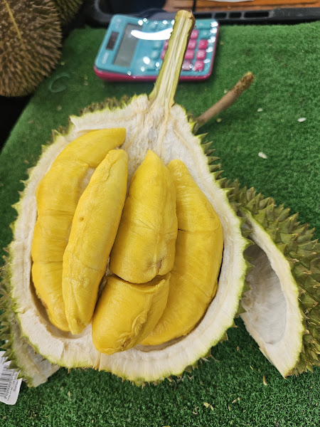 Durian beautiful 榴戀女王