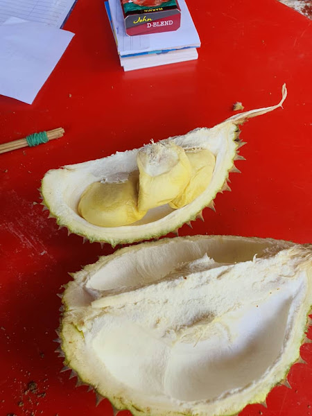 Hafizam Durian Viral