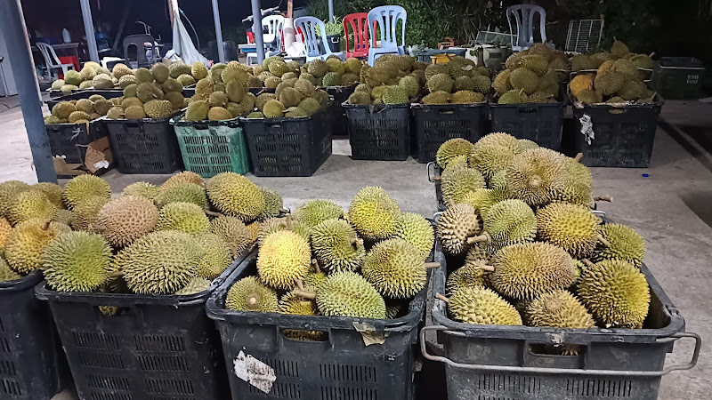 Durian Musang King GmTee