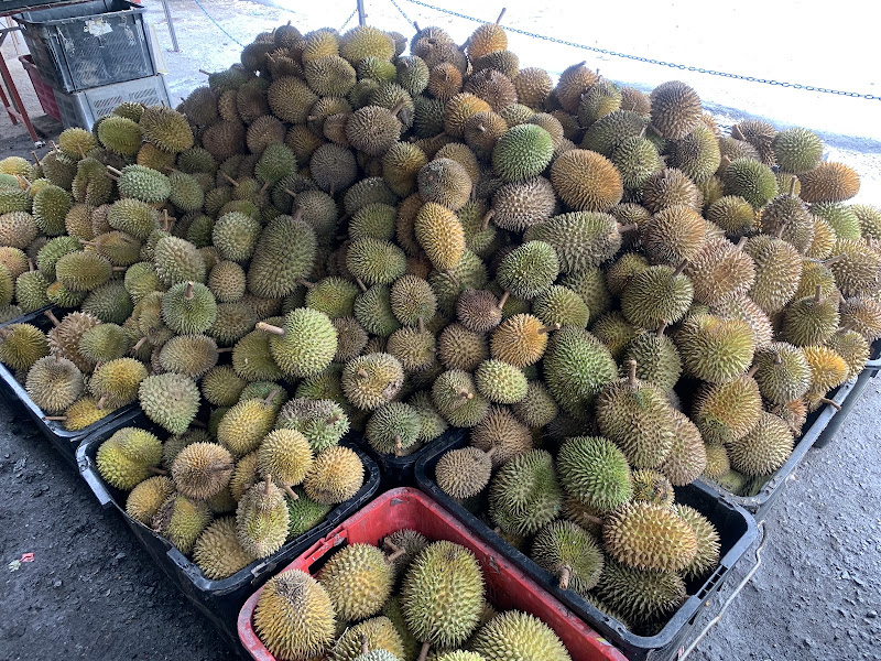 Durian D'JS