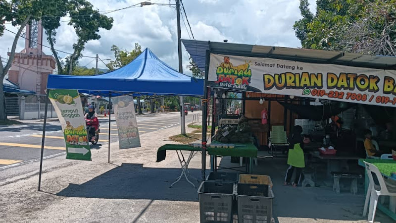 Durian datok