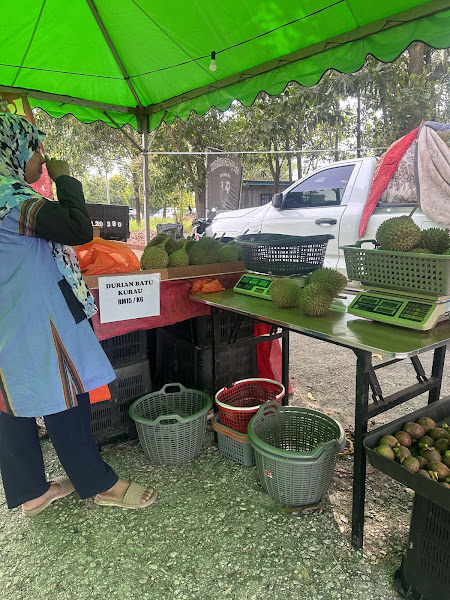Durian Batu Kurau