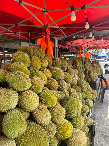 Baiduri's Durian House