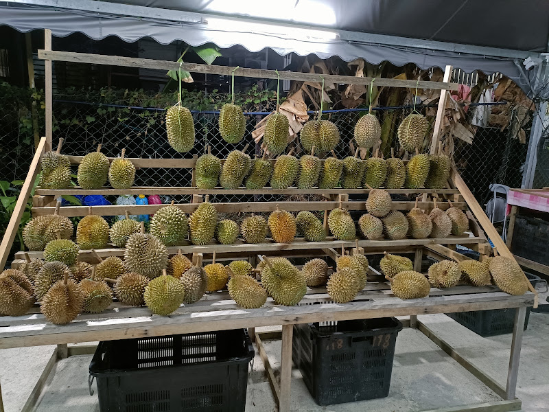 Faizal Roti Bakar Arang & Durian 501