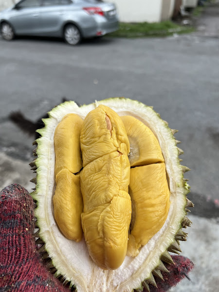 Wei Durian House