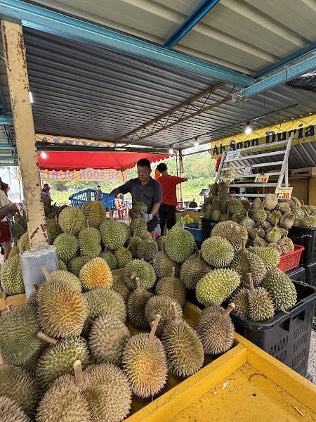 Ah Soon Durian