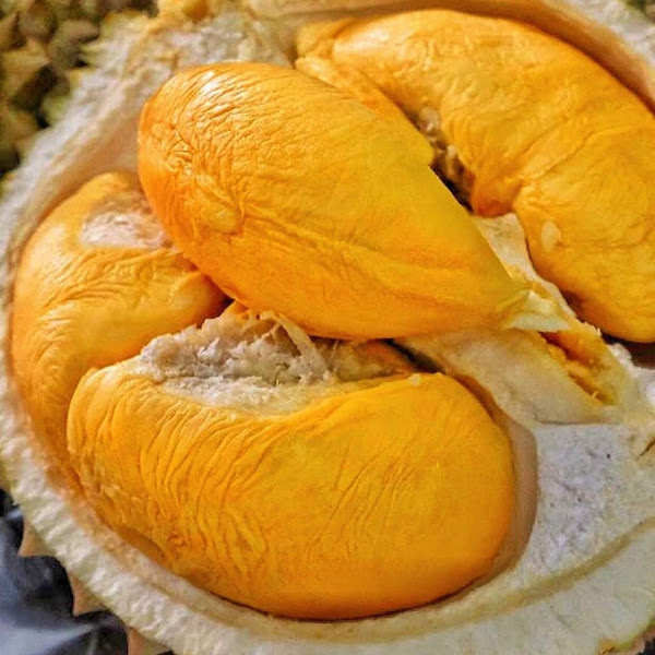 Durian Artisan