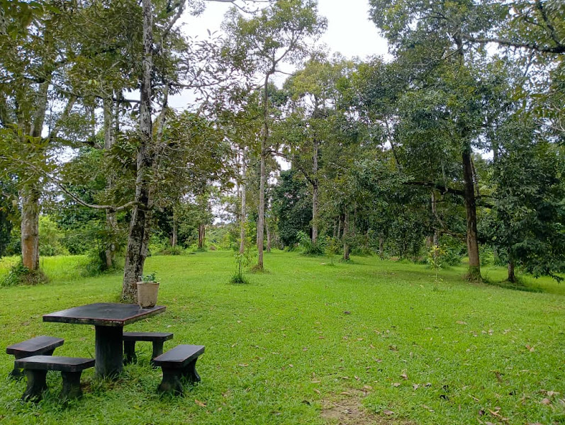 Dusun Durian Hasyam