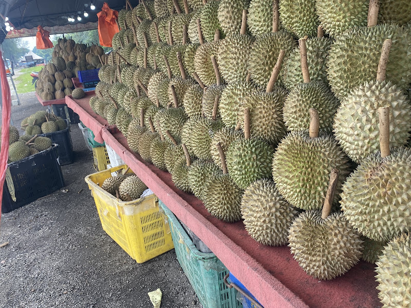 Durian Brother Jalan Kebun