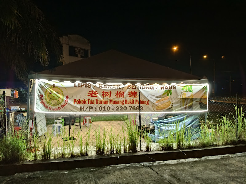 Penjom Katak Durian