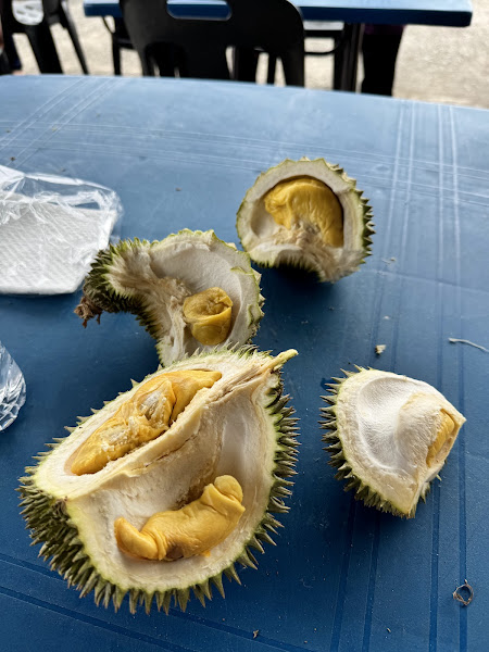 Durian kota tinggi