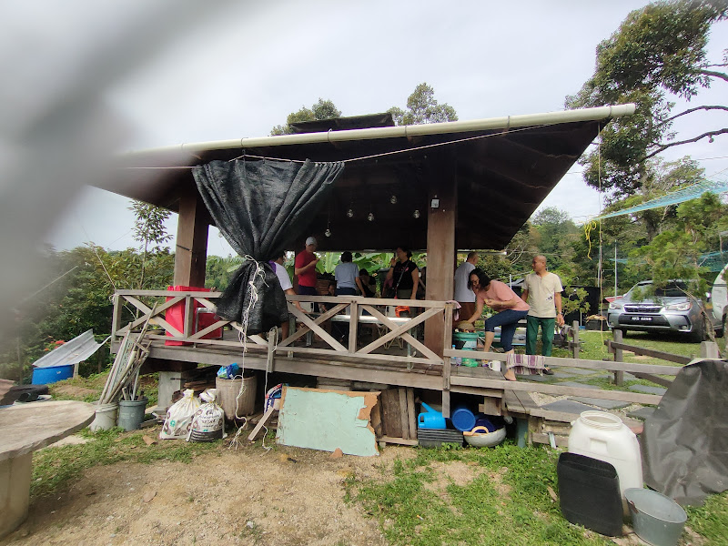 Nenek durian farm