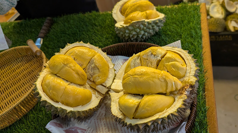 Durich 榴瑞