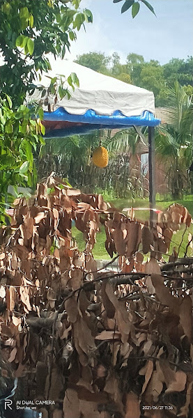 Durian stall