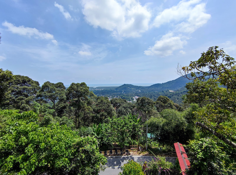 Durian orchard balik pulau penang