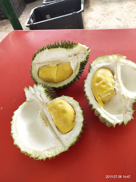Durian stall