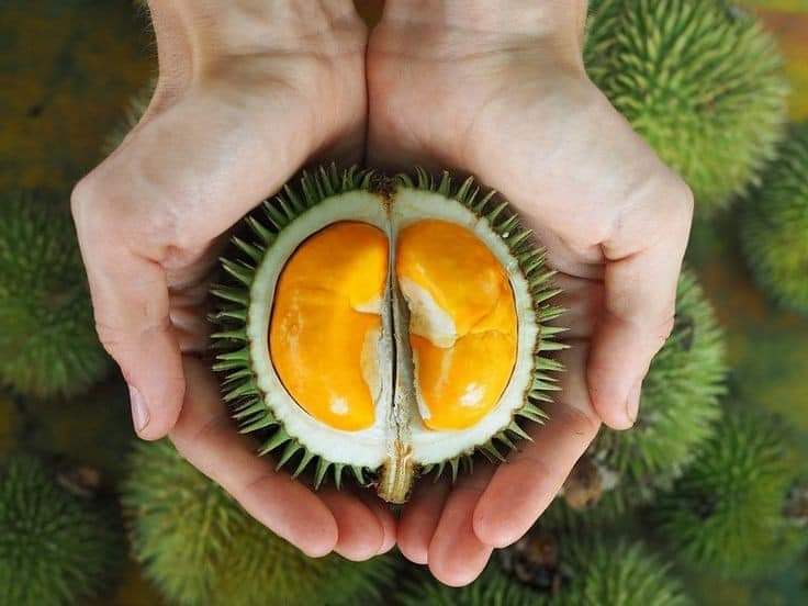 Desmond Durian stall