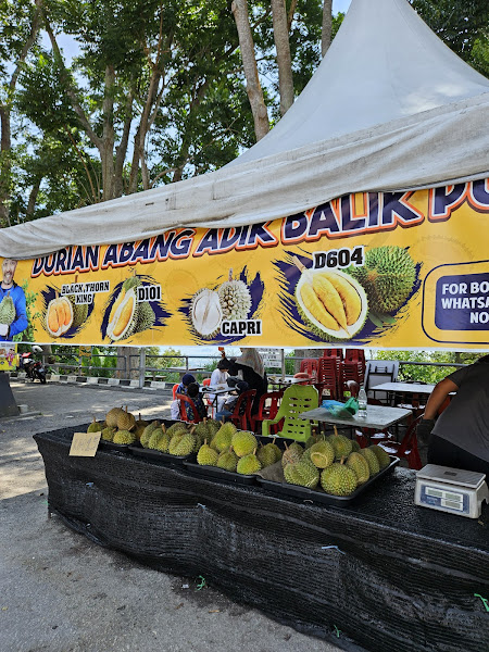Durian Abang Adik Balik Pulau