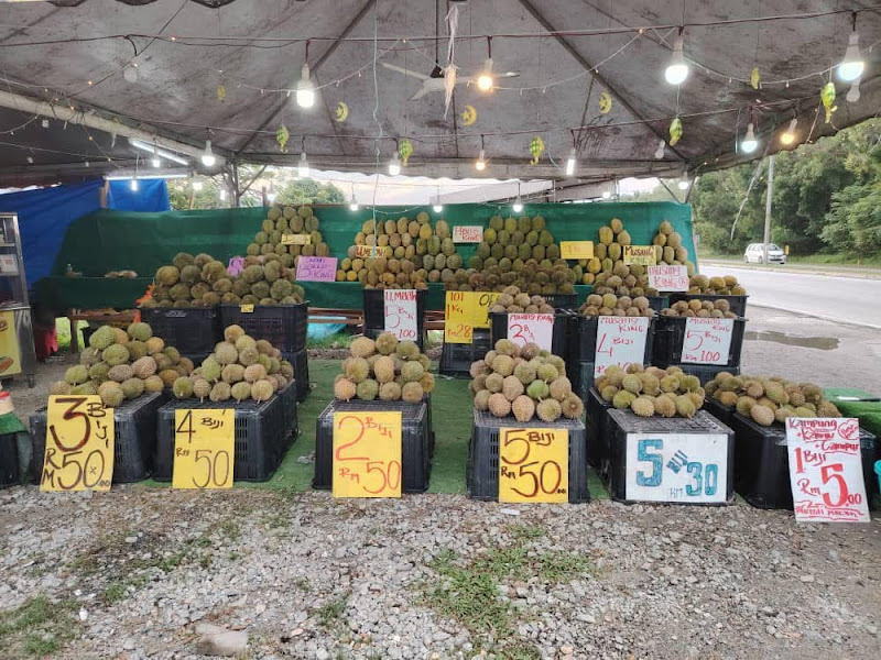 Durian pok nik 28 puchong