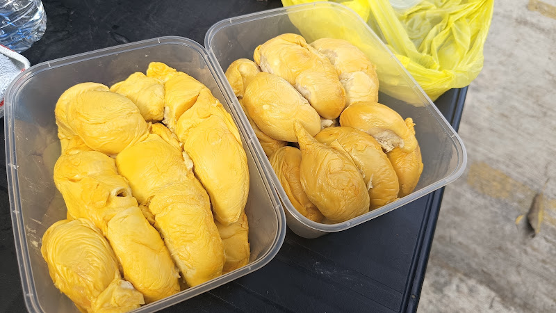 Durian Catroad
