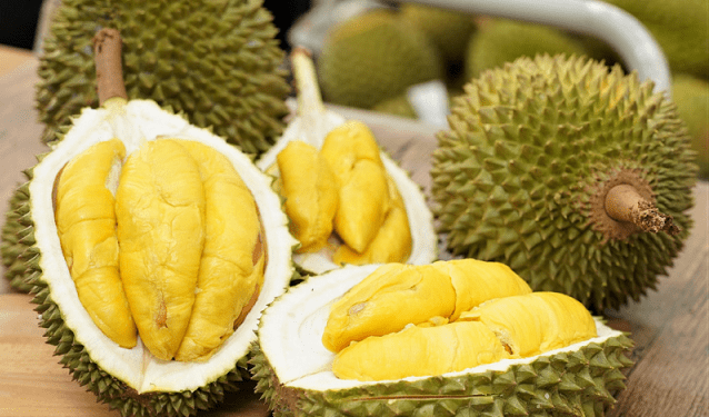 Golden Durian Trees