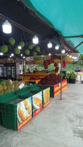 Fruit Master Durian