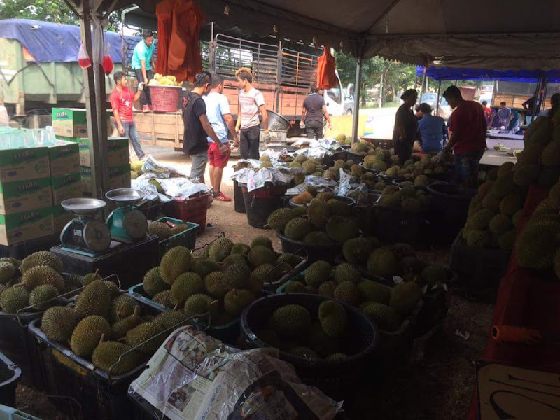 Gerai Durian