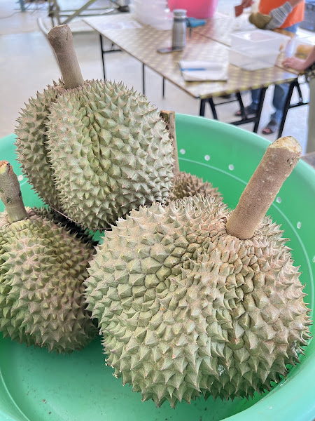 Zhong Cheng Durian Farm
