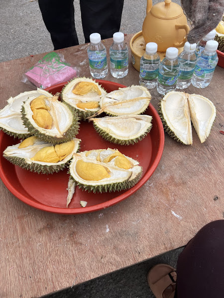 Ryanie Hakim Fruits