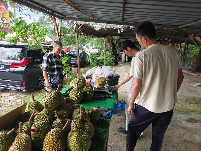 C.L.T DURIAN