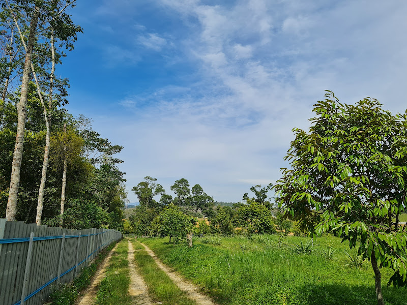 Lai Farm