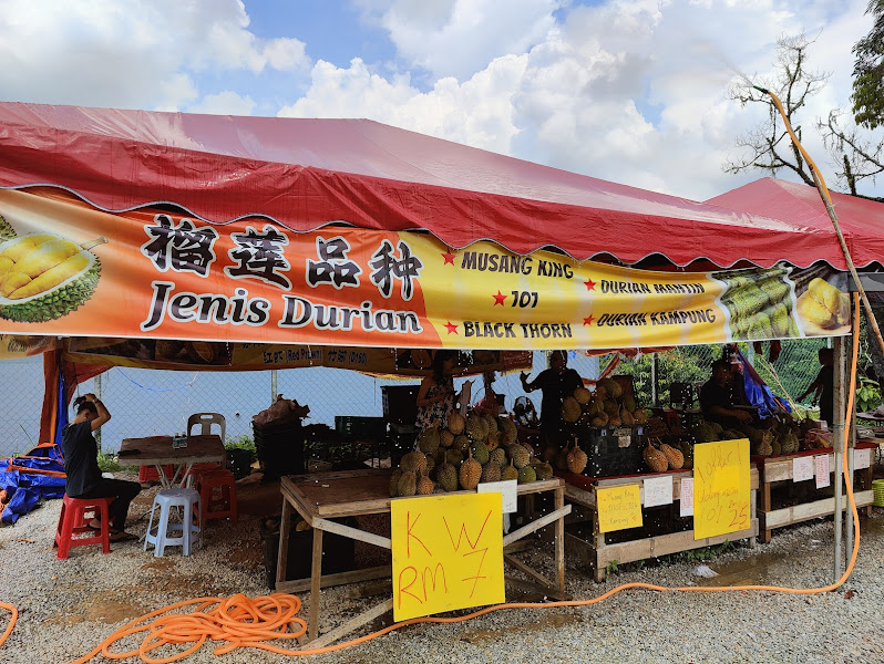 Jenis Durian