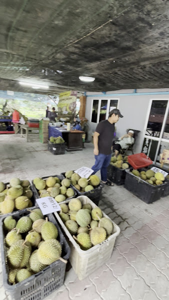 kebun durian haji bahrin