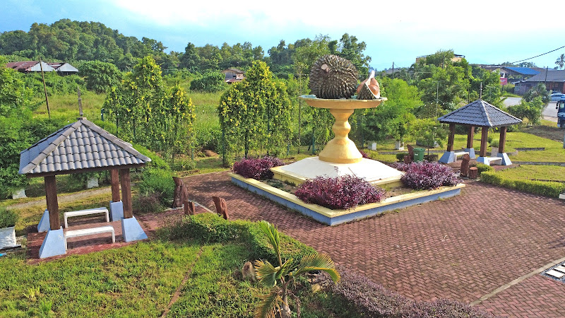 Arca Durian Kunyit