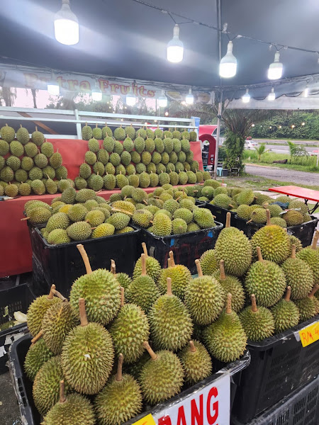 Durian Putra Fruits Kota Warisan