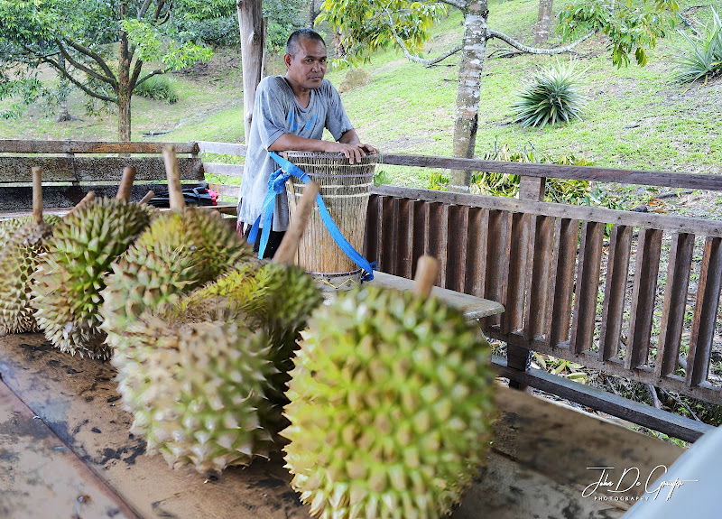 Tamparuli Durian Farm