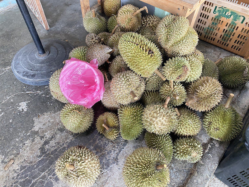 838 Durian Balik Pulau