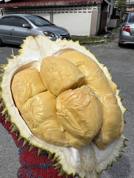Jun Wei Durian House
