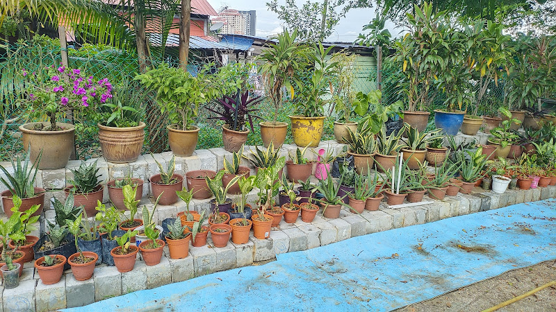 Kebun Komuniti Taman Setapak ( Setapak Farm )