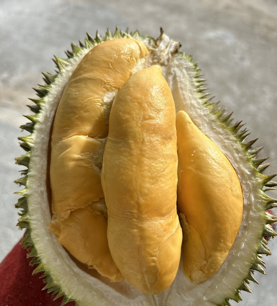 榴莲 7777 Durian7777 Enterprise