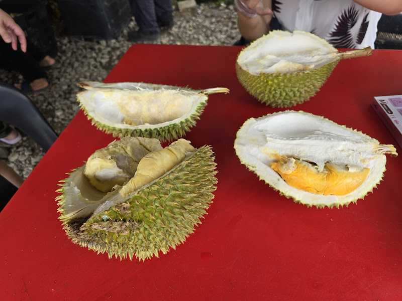 MH durian centre